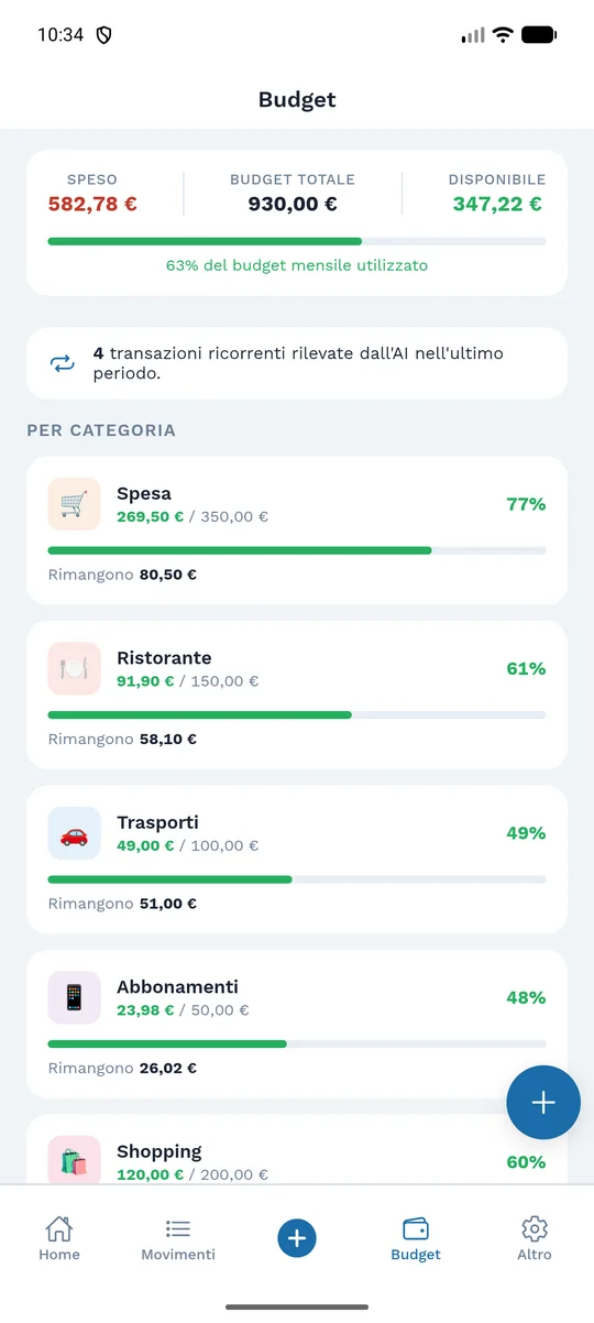 Budget per categoria con le barre di avanzamento